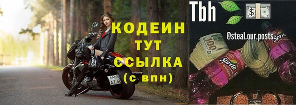 амф Аркадак