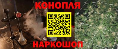 jwh Гатчина