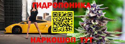 мяу мяу мука Гагарин
