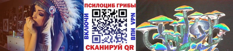 Псилоцибиновые грибы мицелий Белая Калитва