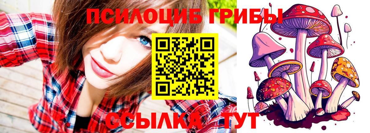 Галлюциногенные грибы прущие грибы Белая Калитва