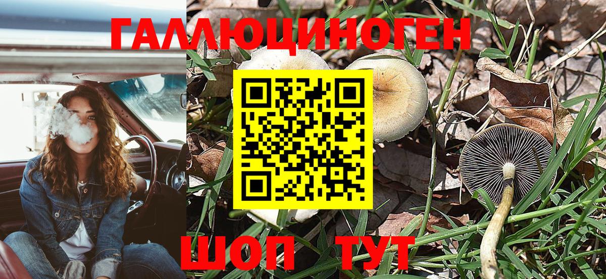 Галлюциногенные грибы прущие грибы  Белая Калитва 