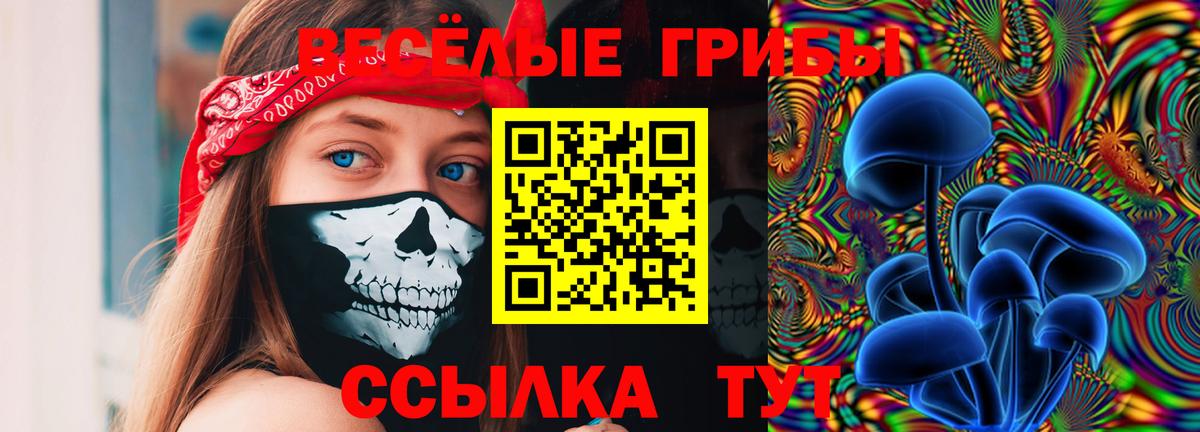 Галлюциногенные грибы Cubensis Белая Калитва