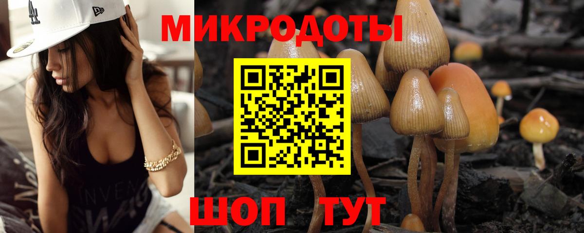 Белая Калитва  Галлюциногенные грибы MAGIC MUSHROOMS  Вход с VPN 